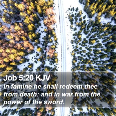 Job 5:20 KJV Bible Verse Image