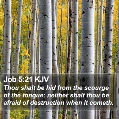 Job 5:21 KJV Bible Verse Image