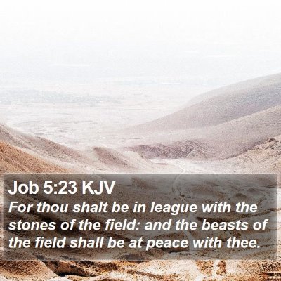 Job 5:23 KJV Bible Verse Image