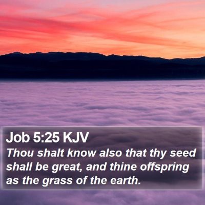 Job 5:25 KJV Bible Verse Image