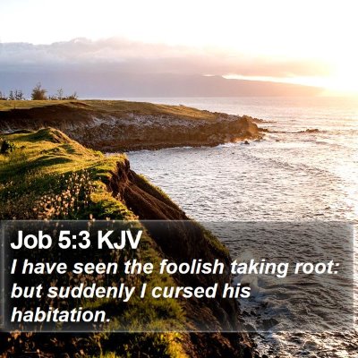 Job 5:3 KJV Bible Verse Image