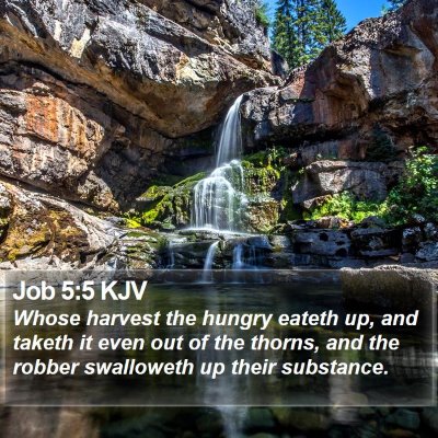 Job 5:5 KJV Bible Verse Image