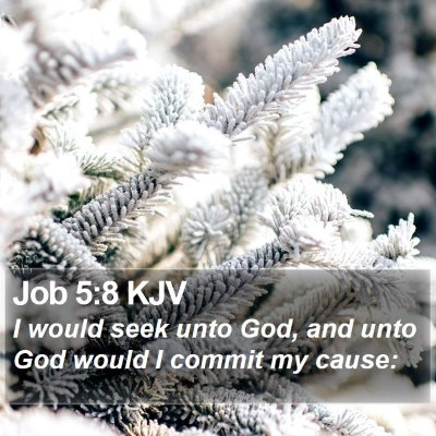 Job 5:8 KJV Bible Verse Image