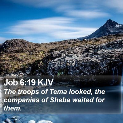 Job 6:19 KJV Bible Verse Image