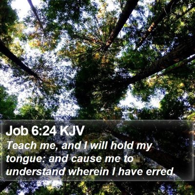 Job 6:24 KJV Bible Verse Image