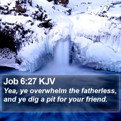 Job 6:27 KJV Bible Verse Image