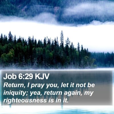 Job 6:29 KJV Bible Verse Image