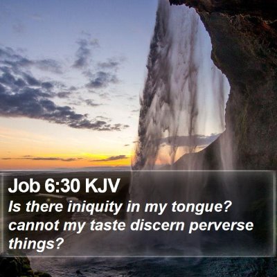 Job 6:30 KJV Bible Verse Image