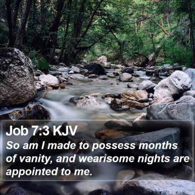 Job 7:3 KJV Bible Verse Image