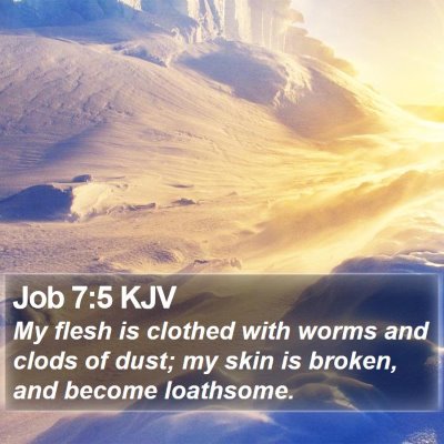 Job 7:5 KJV Bible Verse Image