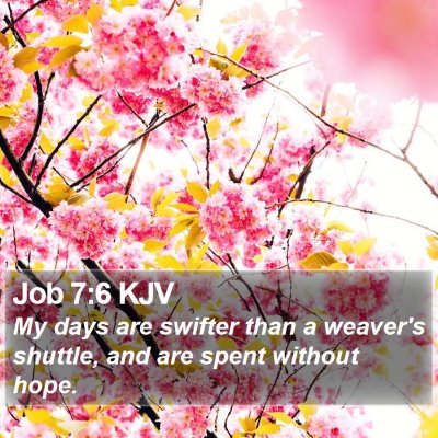 Job 7:6 KJV Bible Verse Image