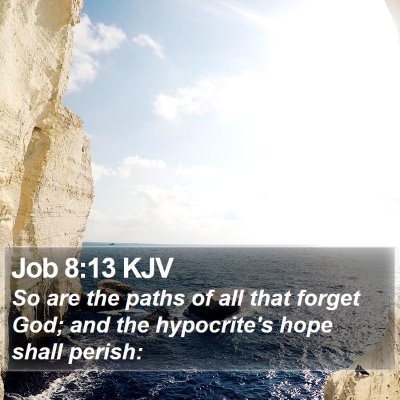 Job 8:13 KJV Bible Verse Image