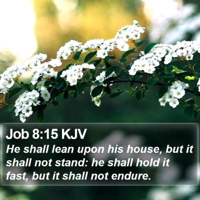 Job 8:15 KJV Bible Verse Image