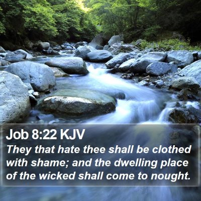 Job 8:22 KJV Bible Verse Image