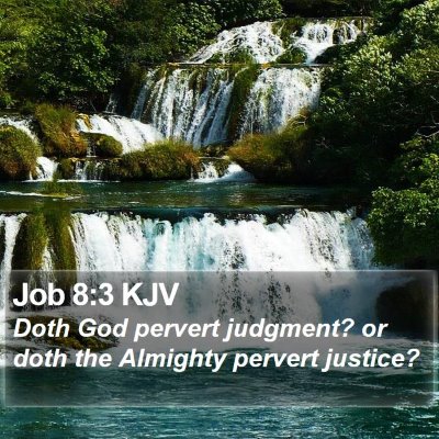 Job 8:3 KJV Bible Verse Image