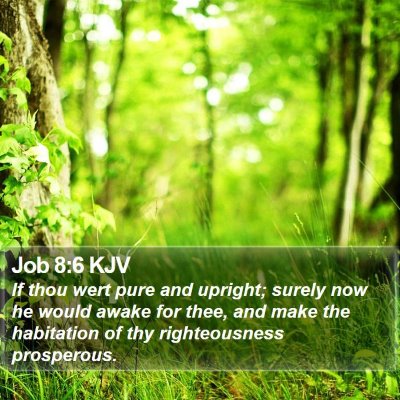 Job 8:6 KJV Bible Verse Image