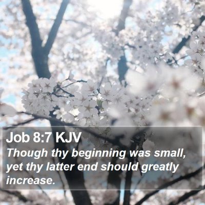 Job 8:7 KJV Bible Verse Image