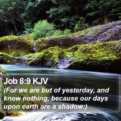 Job 8:9 KJV Bible Verse Image