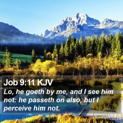 Job 9:11 KJV Bible Verse Image