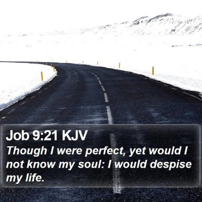 Job 9:21 KJV Bible Verse Image