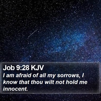 Job 9:28 KJV Bible Verse Image