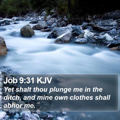 Job 9:31 KJV Bible Verse Image