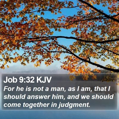 Job 9:32 KJV Bible Verse Image