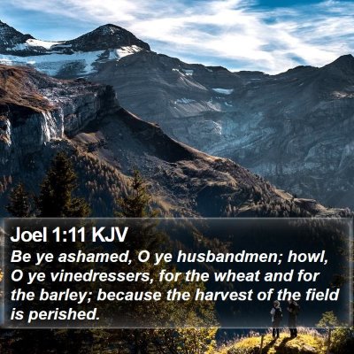 Joel 1:11 KJV Bible Verse Image