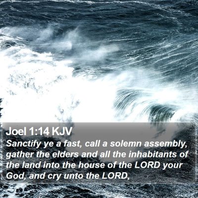Joel 1:14 KJV Bible Verse Image