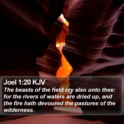 Joel 1:20 KJV Bible Verse Image