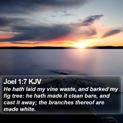 Joel 1:7 KJV Bible Verse Image