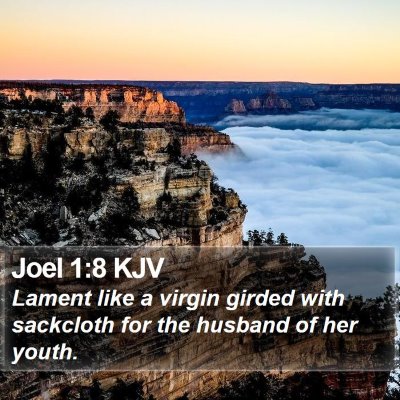 Joel 1:8 KJV Bible Verse Image