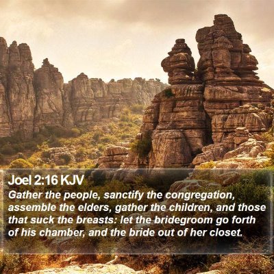 Joel 2:16 KJV Bible Verse Image