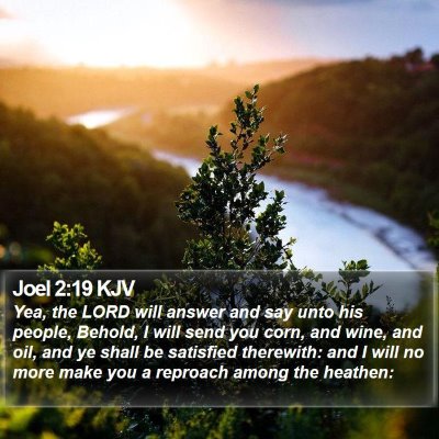 Joel 2:19 KJV Bible Verse Image