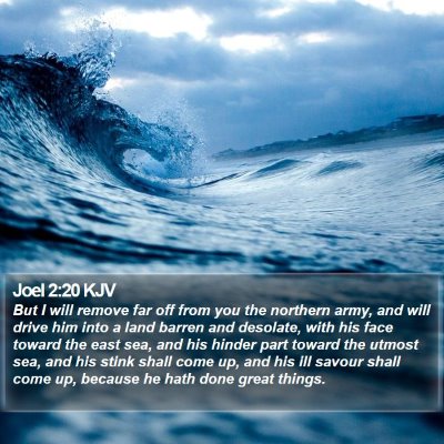 Joel 2:20 KJV Bible Verse Image