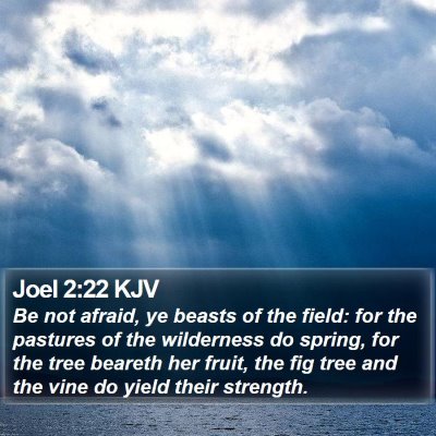 Joel 2:22 KJV Bible Verse Image