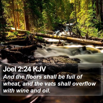 Joel 2:24 KJV Bible Verse Image