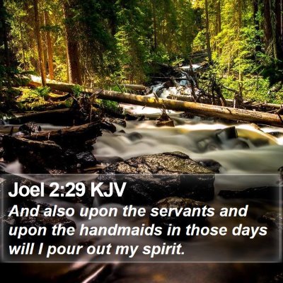 Joel 2:29 KJV Bible Verse Image