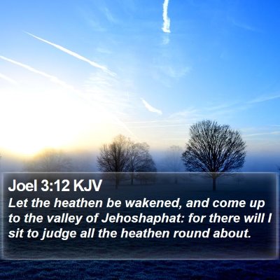 Joel 3:12 KJV Bible Verse Image