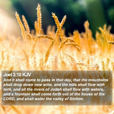 Joel 3:18 KJV Bible Verse Image