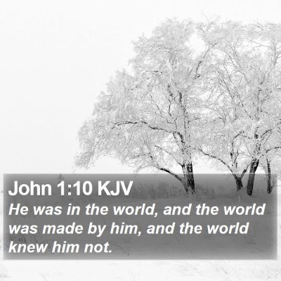 John 1:10 KJV Bible Verse Image