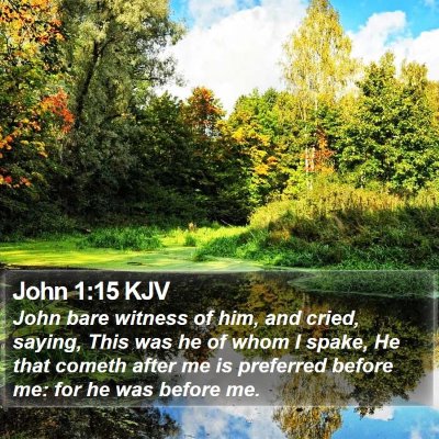 John 1:15 KJV Bible Verse Image