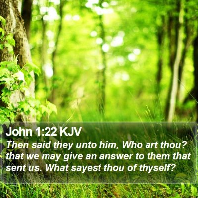 John 1:22 KJV Bible Verse Image