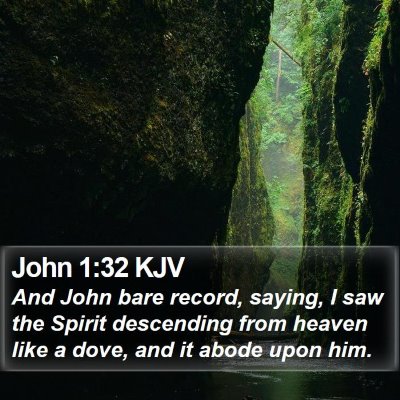 John 1:32 KJV Bible Verse Image