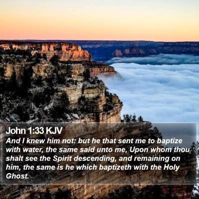 John 1:33 KJV Bible Verse Image