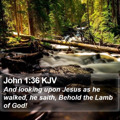 John 1:36 KJV Bible Verse Image