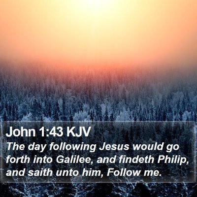 John 1:43 KJV Bible Verse Image