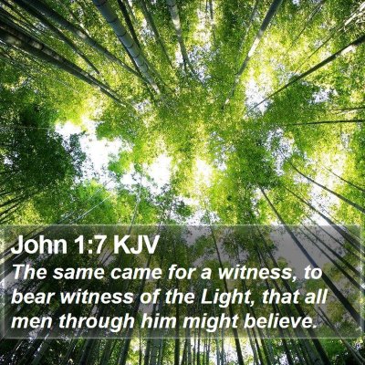 John 1:7 KJV Bible Verse Image
