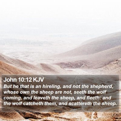 John 10:12 KJV Bible Verse Image