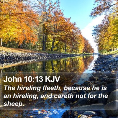 John 10:13 KJV Bible Verse Image